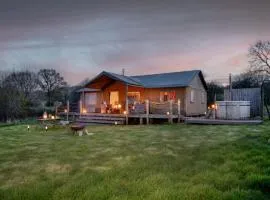 Nuthatch - Kittisford Barton