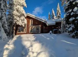 Villa Riekonpesä, Mountain top