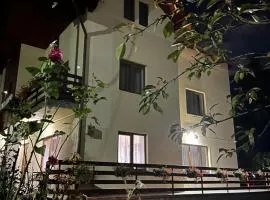 Casa Ador