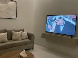 شقة بتصميم انيق ودخول ذاتي ج
