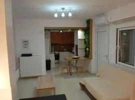 Afanias Lakonia Luxury Apartment