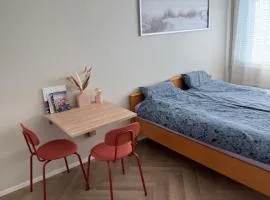 Short stay in the city center, free parking