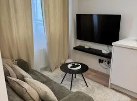 Appartement cosy