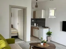 Rijeka Crnojevica Apartment Vujovic