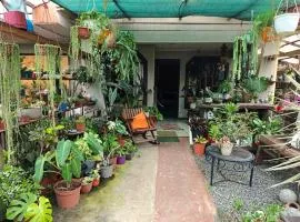 Casa Maranta