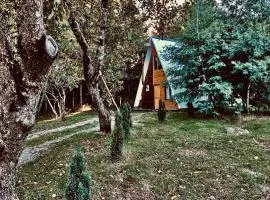 Cabañas Los Avellanos