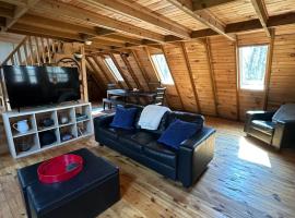 Bearly Behavin, cabin nghỉ dưỡng ở Blue Ridge