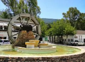 El bosque NOMADA II