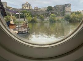 Bateau traditionnel de Loire face au château d'Angers, hotel en Angers