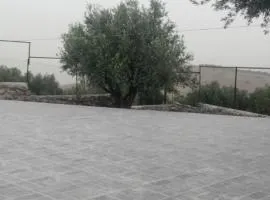 مزرعة الخربه
