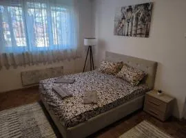 R & P Apartman Mladenovac