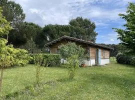 Villa 4 pers. avec jardin privé, animaux acceptés, tout confort à Messanges - FR-1-379-136