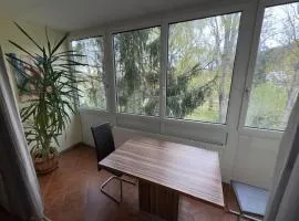 Silent Park Apartment