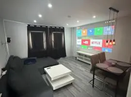 Stylish Home Theater Apartment