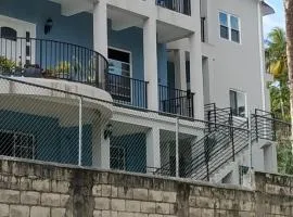 Portland Jamaica! Green and Lush! Volcano and Falls Yes!