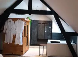 Ô13 Loft privatif sauna balnéothérapie à 30min de Pairi Daiza