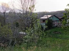 Apartamentos El Puntual