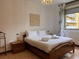 Kibilù - Via Rodari, Ospedale Circolo