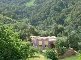 Park tazeka