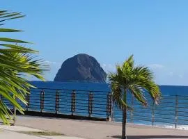 T1 Gardénia