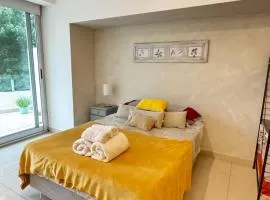 Impecable estudio en lujoso edificio en Caballito