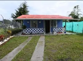 Mi pequeño jardin