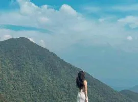 Mimosa nhà thông 2 view săn mây