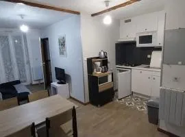 Appartement plein centre
