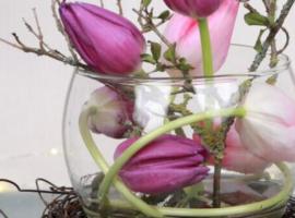 Aydogan Vermietung, apartment in Stade