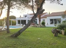 OstalBlanc Belle villa contemporaine avec piscine