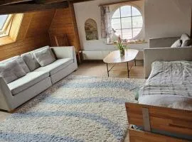 Furnished apartment in Zizers
