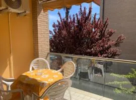 Angy Apartment by Quokka 360 - Terrace with Sea view