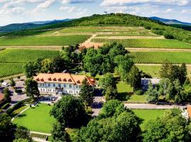 Castle Hotel Grof Degenfeld Superior, hotel in Tarcal