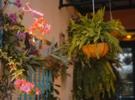Summer Delight B&B
