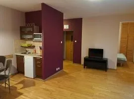 Apartament przy Promenadzie