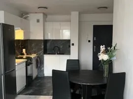 Comfortable one bedroom apartment