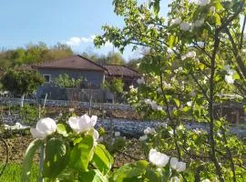 Spring Village Home