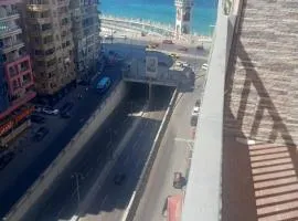 Miami's apartment