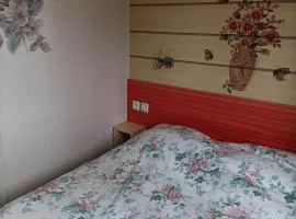 Mobil-home emplacement 3