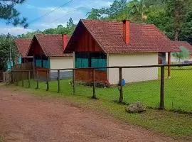 Palmeira Azul
