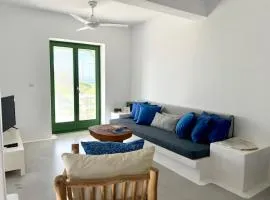 Naousa Paros Beach Front House