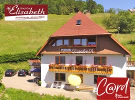 Pension Elisabeth, hotel v destinaci Todtnauberg