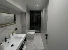 Vale House Apartment near Rho Fair