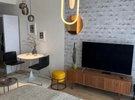 Executive Studio free street parking