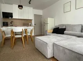 Klimatyczny apartament w centrum