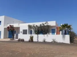 Dolphin Cabo Verde