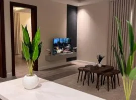 Modern Stylish and Entry Smart Apartment