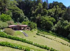 Peaceful Mountain Experience - Coyote House