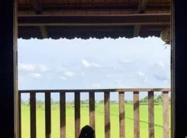 LOOP Farm