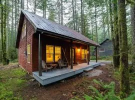 Glacier Springs Cabin 12 - Pet Friendly, WIFI, AC, Sleeps 4